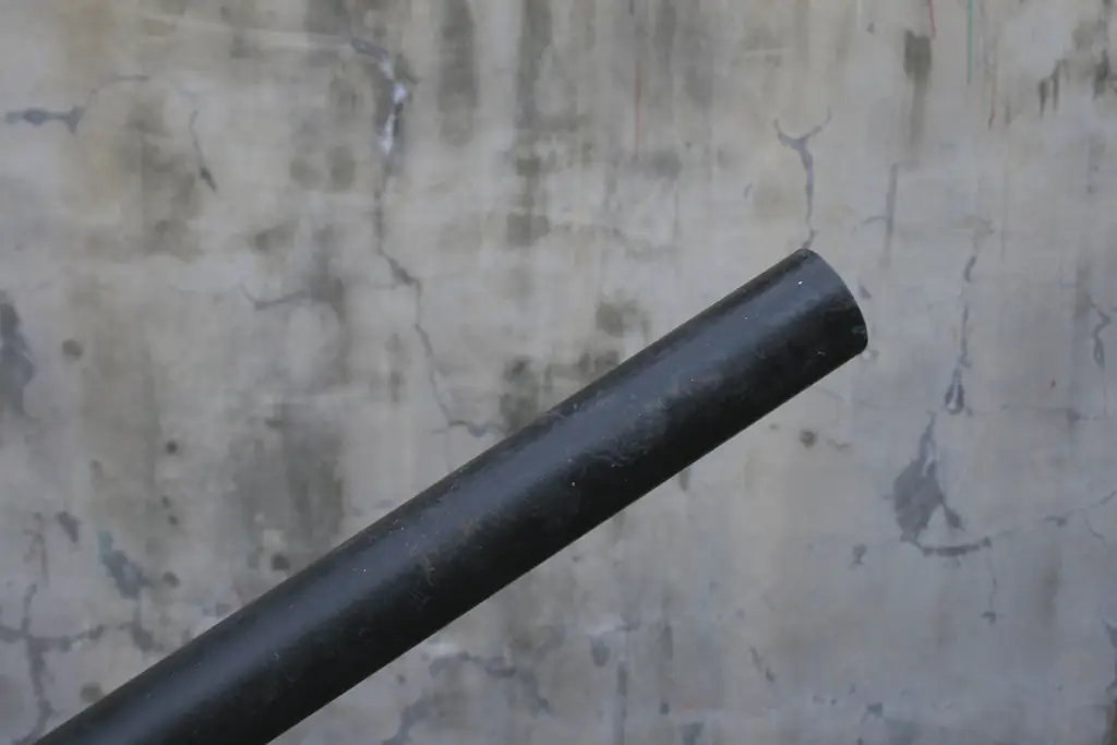 Как заставить собаку перестать играть с вами в Fetch: 8 шагов