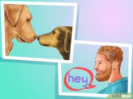 Избегайте яростных нападений собак на вашу маленькую собаку Шаг 10