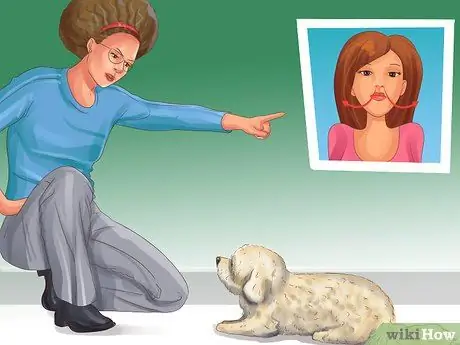 Избегайте яростных нападений собак на вашу маленькую собаку Шаг 2