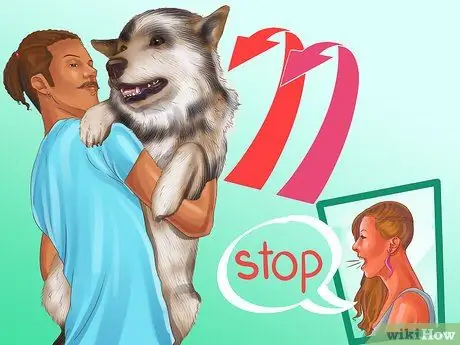 Избегайте яростных нападений собак на вашу маленькую собаку Шаг 4