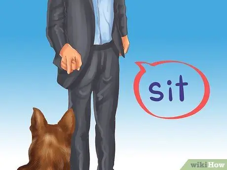 Избегайте яростных нападений собак на вашу маленькую собаку Шаг 5