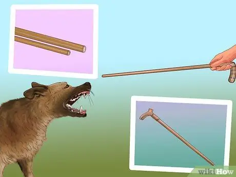 Избегайте яростных нападений собак на вашу маленькую собаку Шаг 6