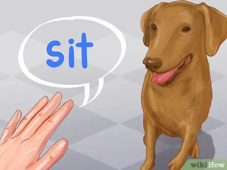 Избегайте яростных нападений собак на вашу маленькую собаку Шаг 8