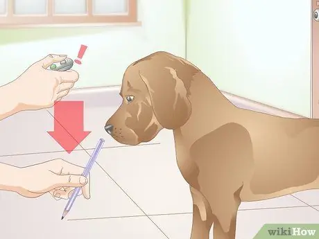 Кликер - приручить собаку поклону, шаг 4