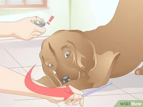 Кликер приучите собаку к поклону. Шаг 6