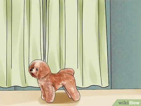 Помогите собаке преодолеть страх фейерверков или грома Шаг 1