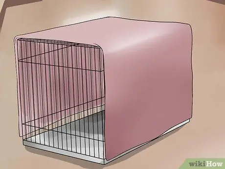 Помогите собаке преодолеть страх фейерверков или грома Шаг 2