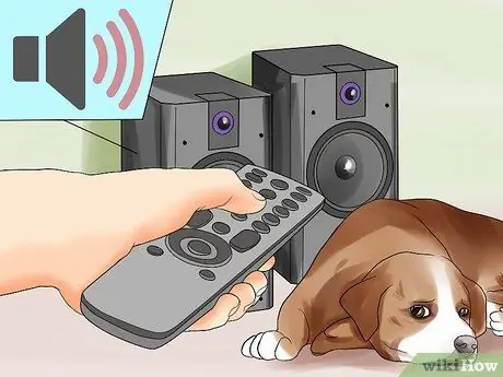 Помогите собаке преодолеть страх фейерверков или грома Шаг 9