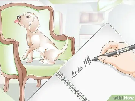 Не дать собаке все облизывать Шаг 16