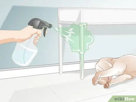 Не дать собаке все облизывать Шаг 7