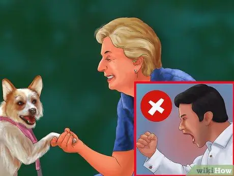 Помогите эмоционально расстроенной собаке Шаг 2