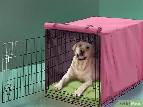 Помогите эмоционально расстроенной собаке Шаг 3