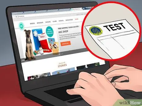 Станьте ближе со своей собакой Шаг 14