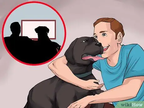 Станьте ближе со своей собакой Шаг 6