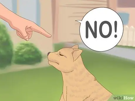 Не пускайте собак в сад, шаг 10