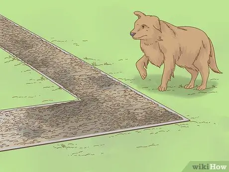 Не пускайте собак в сад, шаг 3