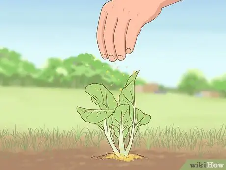 Не пускайте собак в сад, шаг 5