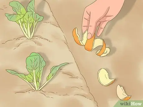 Не пускайте собак в сад, шаг 6