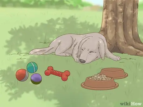 Не пускайте собак в сад, шаг 9