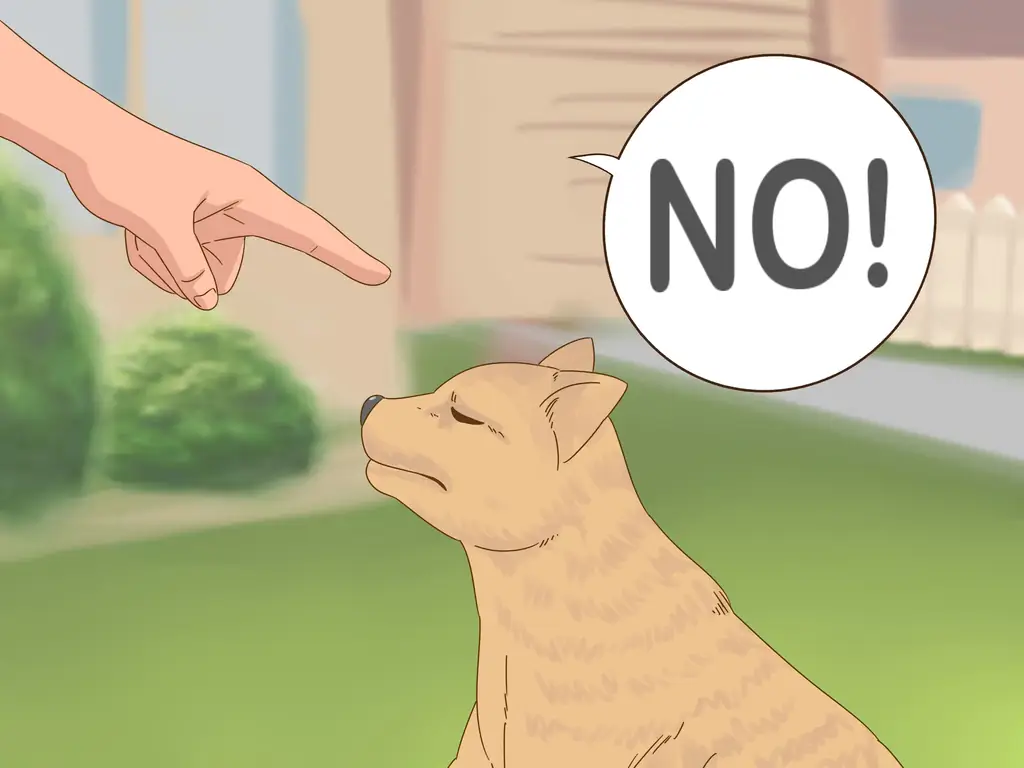 3 способа не пускать собак в сад