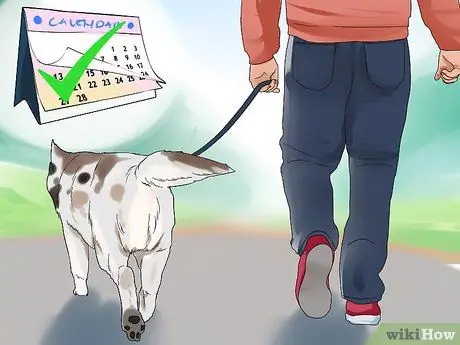 Наблюдать за новой собакой Шаг 1