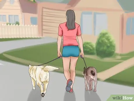 Наблюдать за новой собакой Шаг 10