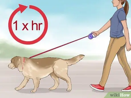 Наблюдать за новой собакой Шаг 5