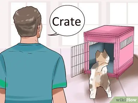 Наблюдать за новой собакой Шаг 6