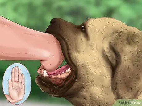 Относитесь к маленькой собачке с большим вниманием Шаг 10