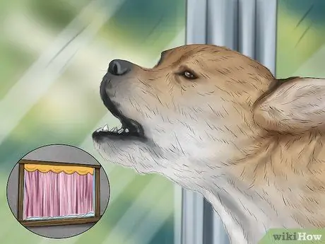 Относитесь к маленькой собачке с большим вниманием Шаг 8