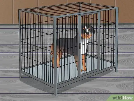 Не позволяйте собаке гнать пылесос Шаг 1