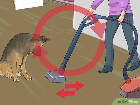 Не позволяйте собаке гнать пылесос Шаг 11