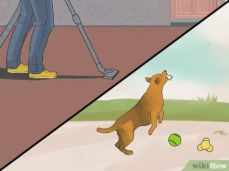 Не позволяйте собаке гнать пылесос Шаг 2