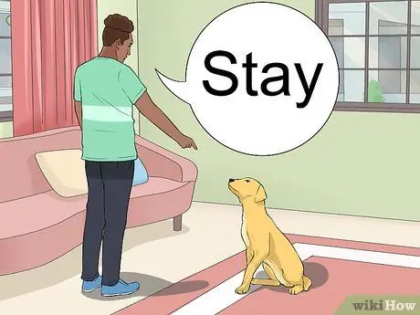 Не позволяйте собаке гнать пылесос Шаг 4