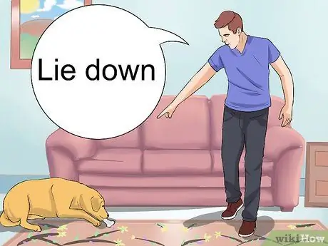 Не позволяйте собаке гнать пылесос Шаг 5