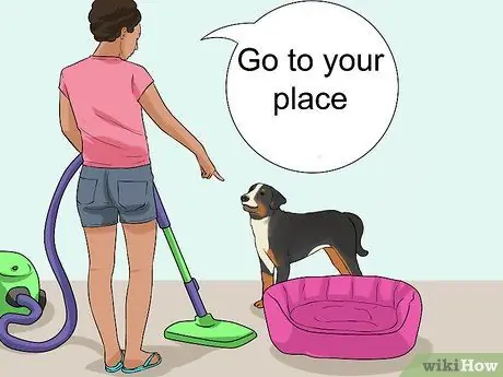 Не позволяйте собаке гнать пылесос Шаг 6