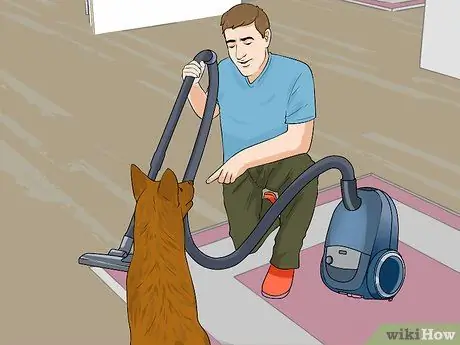 Не позволяйте собаке гнать пылесос Шаг 8