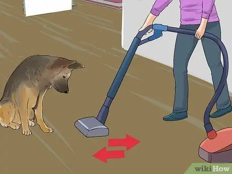 Не позволяйте собаке гнать пылесос Шаг 9