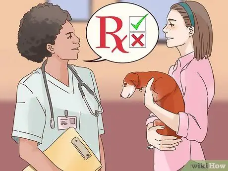 Узнайте, страдает ли ваша старая собака от разлуки Шаг 10