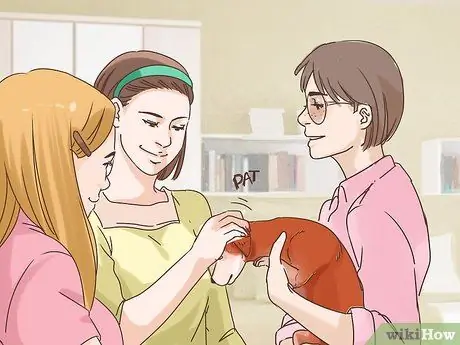 Узнайте, страдает ли ваша собака старшего возраста от разлуки Шаг 13