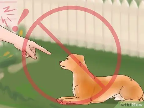 Узнайте, страдает ли ваша собака старшего возраста от разлуки Шаг 14