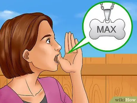 Заставьте собаку слушать Шаг 1