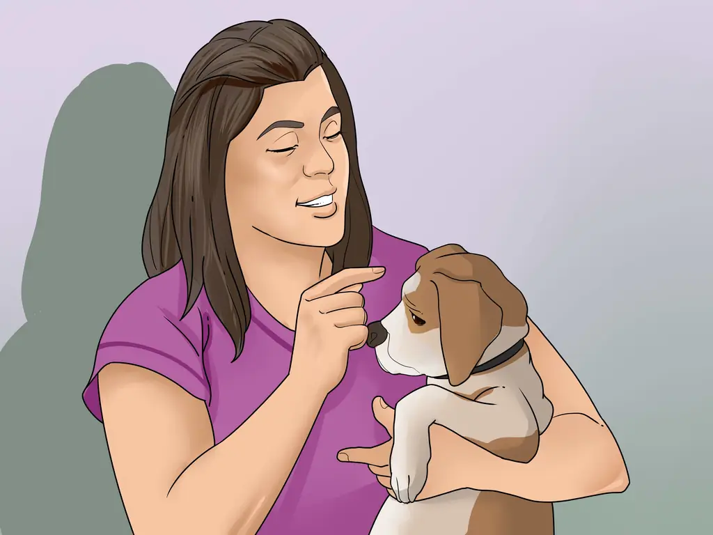 3 простых способа заставить собаку слушать