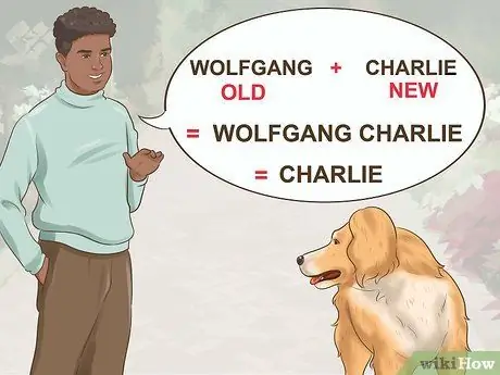 Приучите новую собаку реагировать на новое имя Шаг 1