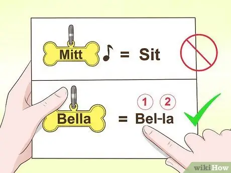 Приучите новую собаку реагировать на новое имя Шаг 11