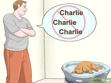 Приучите новую собаку реагировать на новое имя Шаг 5