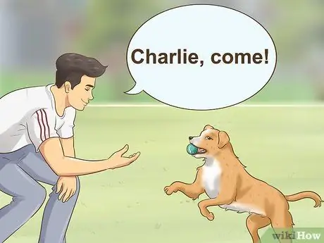 Приучите новую собаку реагировать на новое имя Шаг 7