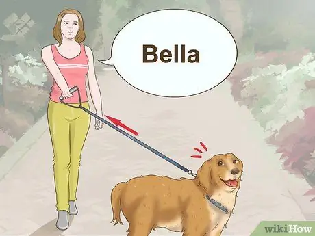 Приучите новую собаку реагировать на новое имя Шаг 8