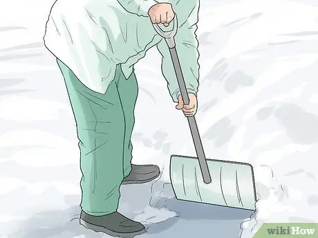 Помогите своей собаке передвигаться по снегу Шаг 1