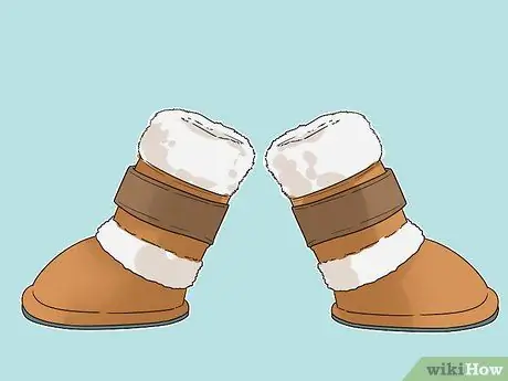 Помогите своей собаке передвигаться по снегу Шаг 6